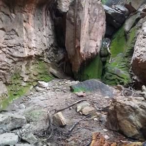 Meet your Posher, Dylan